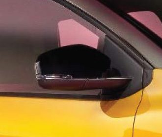 Muscular Mirrors